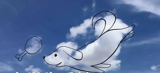 我心中的一个月
