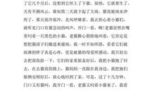 那一次，我真欣喜