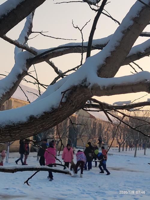 雪中​​的乐趣