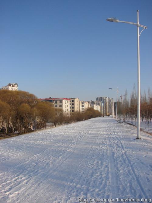 难忘的第一场雪