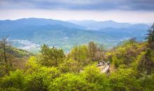 那一次我如痴如醉