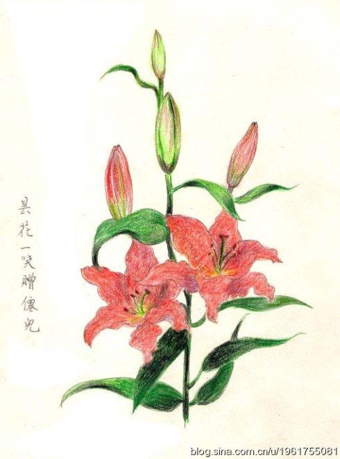 我因你而快乐