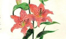 因为有你，所以幸福