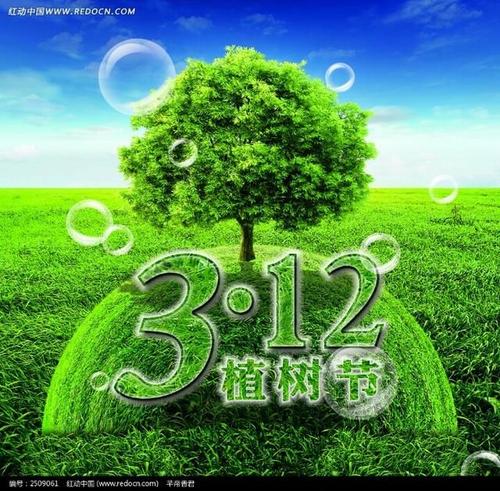 播下梦想的种子