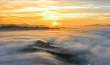 森林的动静时刻