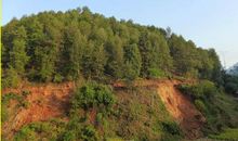 那秋，那林，那人