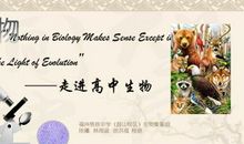 生物给我上了一课