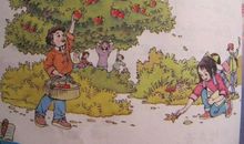 送苹果看图写话