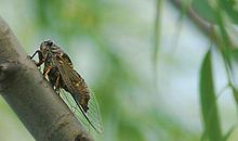 想起这件事我很羞愧