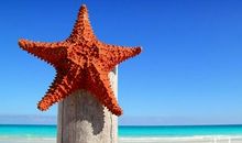 善意的谎言是一种激励