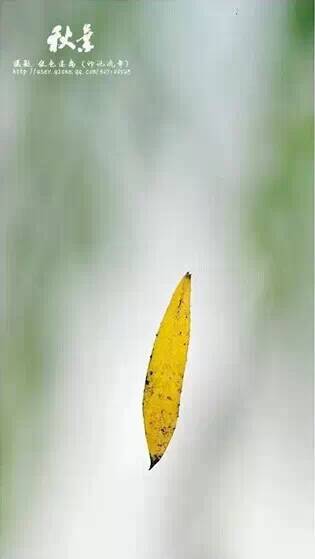 庆秋很好