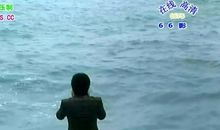 今年春天我很惭愧