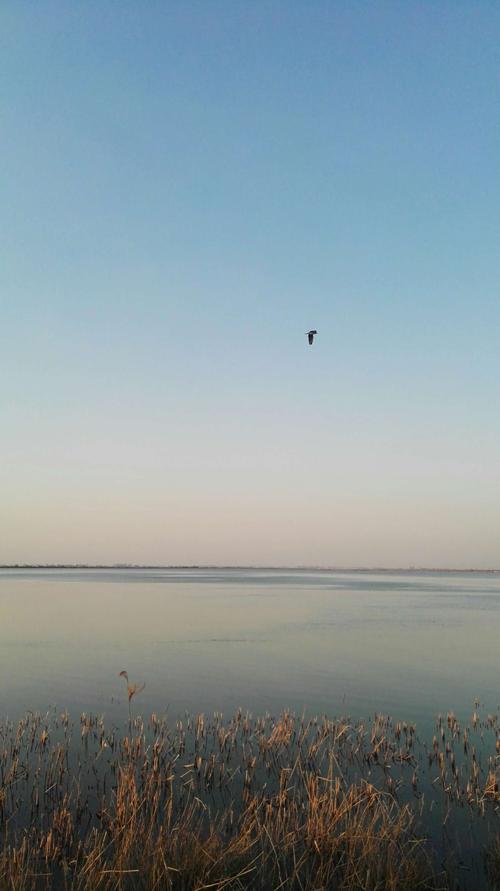 故乡之美-衡水湖