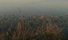 家乡美景——衡水湖