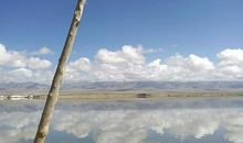 不平凡的电线杆