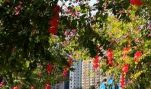 2020年特别的春节