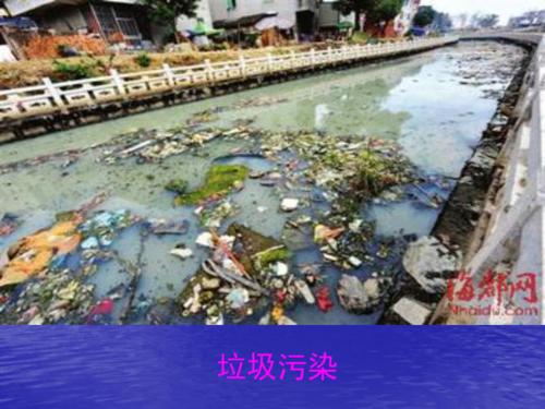别让小鹤哭