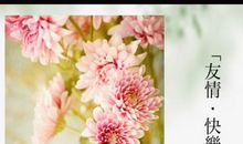 快乐来自友谊