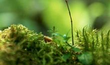 亲情也是一种养料