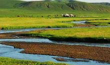 生活因生命而精彩