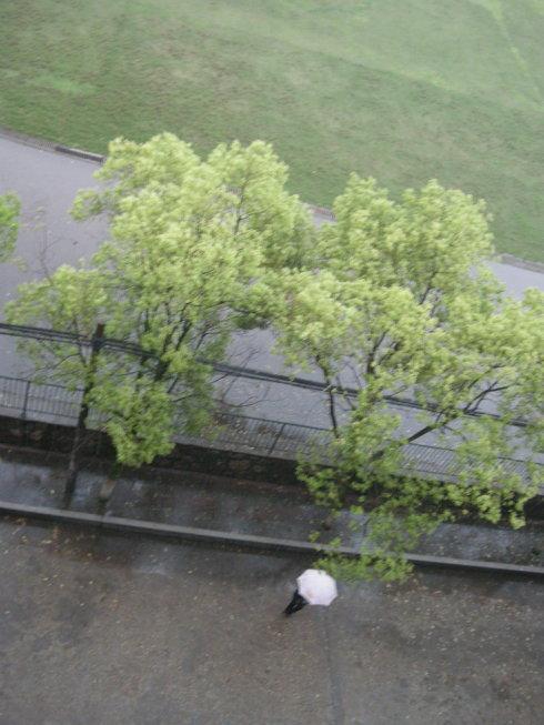 我眼中的春雨