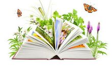 在书的海洋里遨游