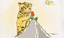 不该丢弃的梦想