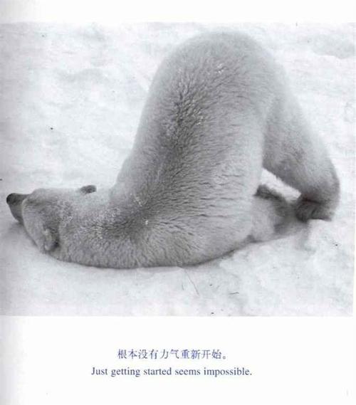 我明天会想念的