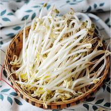把豆芽变成绿豆芽