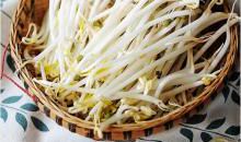 让黄豆芽变成绿豆芽