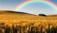 只有经历风雨才能见彩虹