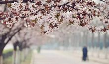 魅力十足的西安