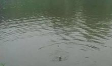 夏天的雷阵雨中情