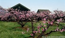 守望故土的爷爷