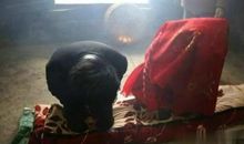 想起这件事我就泪流不止