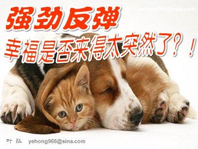 幸福来得太突然了