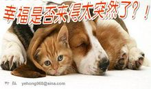 幸福来得这么突然