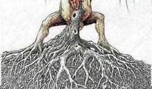 习惯是一把双刃剑