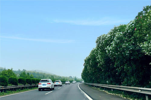 美丽的风景