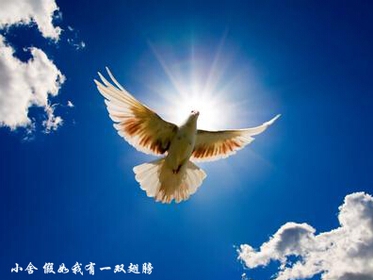 如果我有一对交叉的翅膀