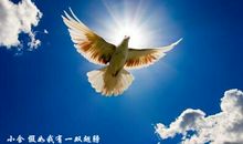 假如我有一双穿越翅膀