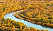 与众不同的最美风景