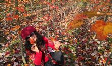 又是一年秋游日