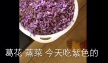 我的妈妈是厨神