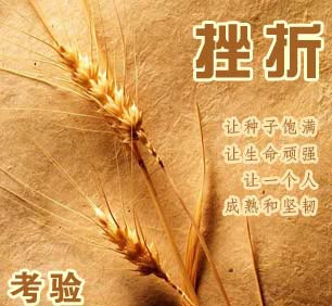 没有挫折，怎么能成功