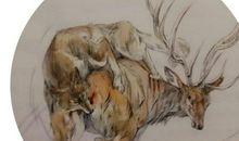 读《老鹿王哈克》有感