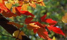 小草触动了我的心灵