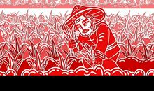 爱粮节粮从每个人做起