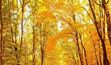 秋天到了作文二年级