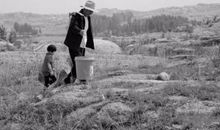 拾馒头的父亲读后感